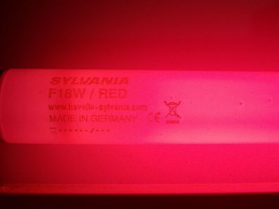 Starter + Sylvania F18W / RED F 18w/ RED rote Lampe Tube CE 60 60,3 60,4 cm T8