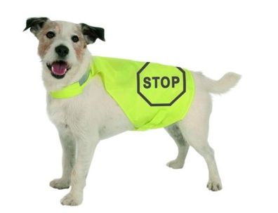 Hundebekleidung N20 "Maxi Safe"