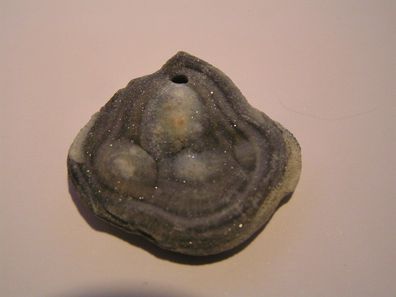 Chalcedon Rosetten-Bruch - gebohrt - Brasilien - SP-276 - Unikat