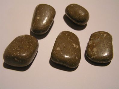 Fallen Star Stone, Sediment mit kleinen Seesternchen, verschiedene Exemplare