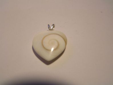 Spiralmuschel Herz, "Shivas Auge", Silberanhänger, SP-412, 1 g, 17 * 17 * 4 mm