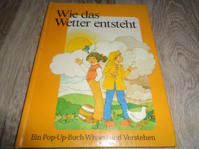 Wie das Wetter entsteht - Pop-up-Buch Wissen und Verstehen