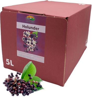 Bleichho Holundersaft – 100% Direktsaft, Bag-in-Box mit Zapfsystem (5l Saftbox)