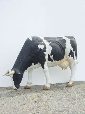 lebensgroße Kuh fressend mit Bodenbefestigung (Metalllaschen) lebensgroß 130cm für dr