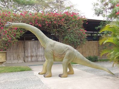 Saurier Baby Brachiosaurus lebensgroß 530cm für draußen aus GFK