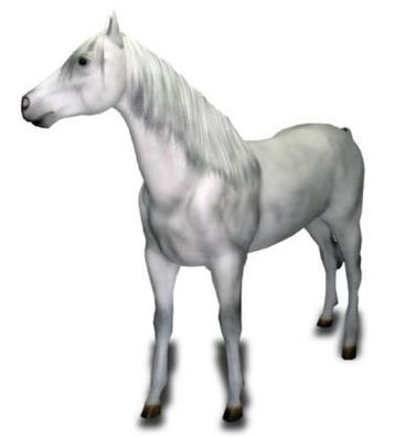 Schimmel Pferd mit Echthaar mit Bodenbefestigung (Metalllaschen) lebensgroß 190cm für