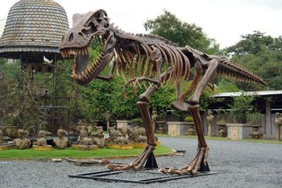 T-Rex Skelett lebensgroß 370cm für draußen aus GFK