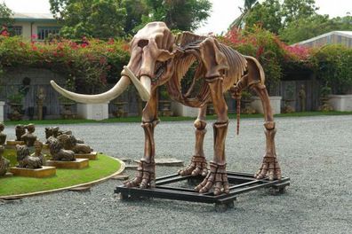Mastodon Skelett lebensgroß 307cm für draußen aus GFK
