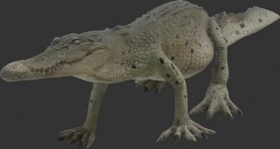 Kleines Krokodil laufend lebensgroß 24cm für draußen aus Polyresin