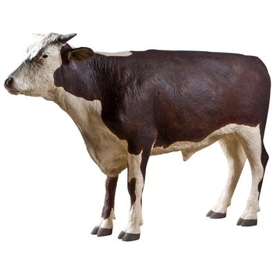 Hereford Stier lebensgroß 136cm für draußen aus GFK