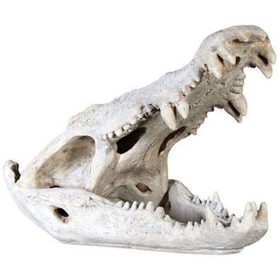 Krokodil Schädel auf Base lebensgroß 46cm für draußen aus Polyresin