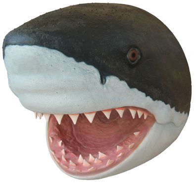 Haikopf mit Maul offen lebensgroß 85cm fér draußen aus GFK