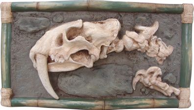 Dinokopf Skelett als Wandbild lebensgroß 68cm fér draußen aus GFK