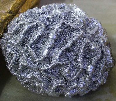 Silberne Koralle lebensgroß 30cm fér draußen aus Polyresin