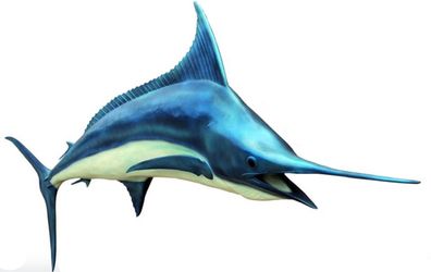 Blue Marlin lebensgroß 115cm fér draußen aus GFK