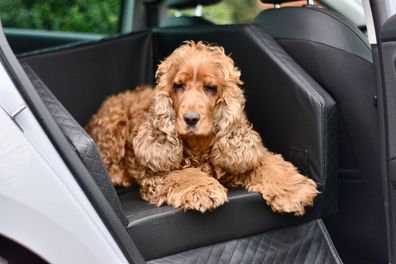 Rücksitz Gurtsystem inkl. Hundebett Autohundebett KFZ Sitzschutz Rückbank
