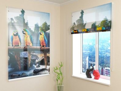 Raffrollo mit Kettenzug "Drei Papageien" Fotorollo, Raffgardine mit 3D Druckmotiv