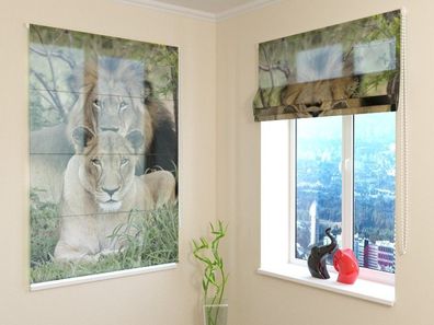 Raffrollo mit Kettenzug "Löwen in der Wildnis" Fotorollo, Faltrollo mit 3D Fotodruck