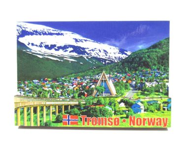 Tromso Nordlichter Polarkreis 3D Holz Souvenir Magnet Norway Norwegen