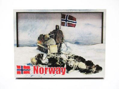 Norwegen Schnee Schlittenhunde Souvenir Deluxe Holz Magnet Norway