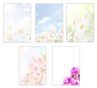 5 x 5 Blatt im Set Briefpapier A4 Motiv Blumen Margeriten Kirschblüten Orchideen