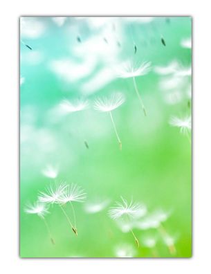 Blumen Motiv-Briefpapier Pusteblumen im Wind (MPA-5201, DIN A4, 25 Blatt)