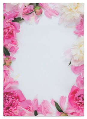 Motivpapier Briefpapier lachsfarbene Pfingstrosen-5100 DIN A4 (25 Blatt)