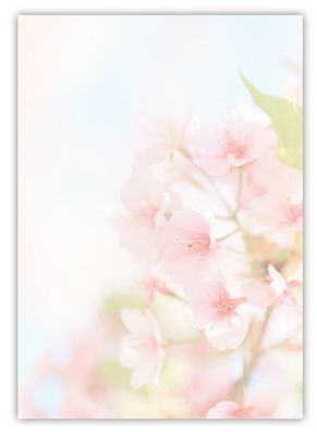 100 Blatt Motivpapier-5027 A4 Blumen Kirschblüten Sommer Sonne Briefpapier TOP