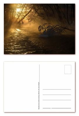12 Stück Postkarten Ansichtskarten Wald-Gebirgsfluss im Morgengrauen (PKT-106)