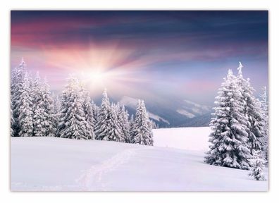 XXL Poster 100 x 70cm tiefverschneite Wald Winterlandschaft schneebedeckte Bäume