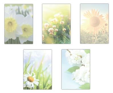 5 x 5 Blatt Briefpapier Mix DIN A4 Blumen Blüten Narzissen Sonnenblume (5233)