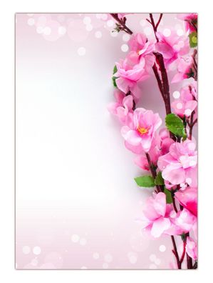 Motiv Briefpapier (Kirschblüten-5187, DIN A4, 25 Blatt) rosafarbene Blüten