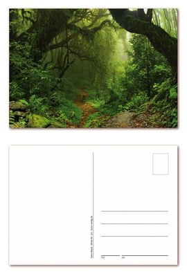 12 Stück Postkarten grüner Dschungel Urwald in Nepal Ansichtskarten (PKT-131)