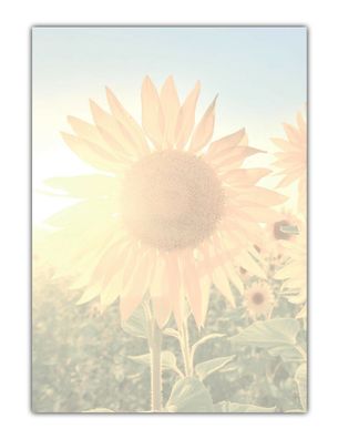 Motiv-Briefpapier Sonnenblumen im Sonnenlicht (MPA-5199, DIN A4, 100 Blatt)