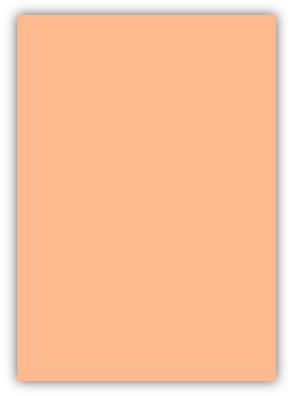 50 Blatt farbiges Premium Briefpapier Caribic DIN A4 Papier-Farbe Apricot
