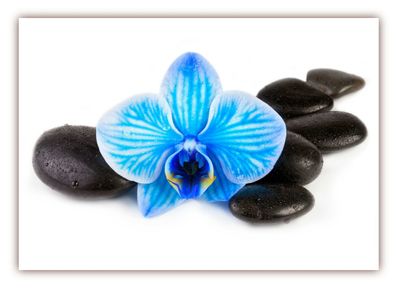 XXL Poster 100 x 70cm wunderschöne blaue Orchidee schwarze Steinen Feng Shui