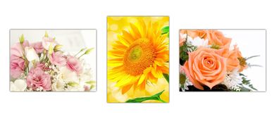 3 Stück XL Poster 70 x 50cm verschiedene Blumen Rosen (S06) Plakate gerollt