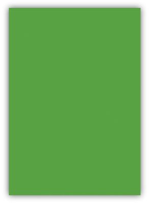 100 Blatt farbiges Premium Briefpapier Caribic DIN A3 Papier-Farbe Grasgrün
