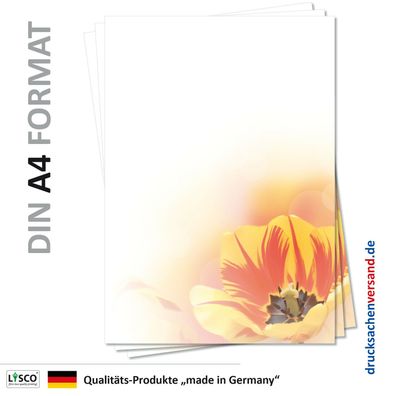 25 Blatt Motivpapier-5116 DIN A4 Briefpapier Frühling Tulpen Tulpe rot-gelb