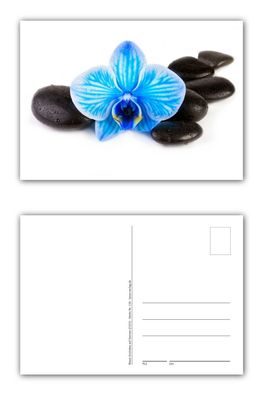 12 Stück Postkarten wunderschöne blaue Orchidee schwarze Steinen Feng Shui