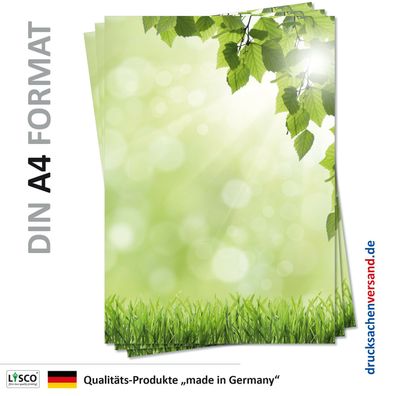 25 Blatt Motivpapier-5092 DIN A4 grüne Wiese mit Birke Laub Briefpapier