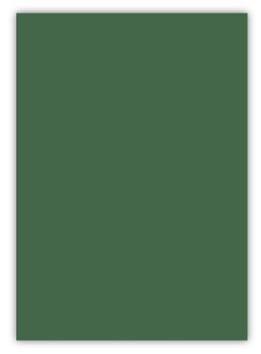 100 Blatt farbiges Premium Briefpapier Caribic DIN A3 Papier-Farbe Palme grün