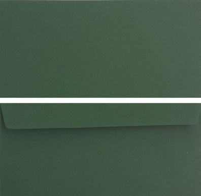 50 X Caribic Briefumschläge farbig Palme grün DIN lang ohne Fenster haftklebend