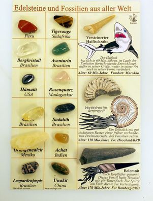 Mineralien-Fossiliensammlung, Tafel mit 12 Mineralien und 3 Fossilien Edelsteine aus