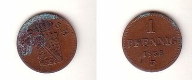 1 Pfennig Kupfer Münze Sachsen 1856 F ss