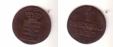 1 Pfennig Kupfer Münze Sachsen 1837 G f. ss