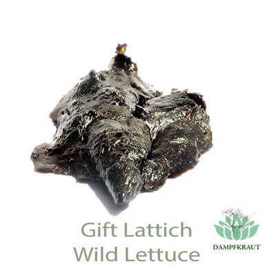 4 Gramm Gift Lattich HARZ Konzentrat (Wild Lettuce) (Lactuca virosa) resin