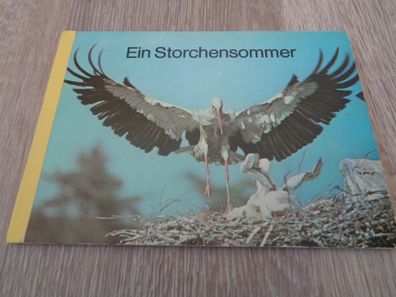 Papp Bilderbuch-Ein Storchensommer - 5. Auflage