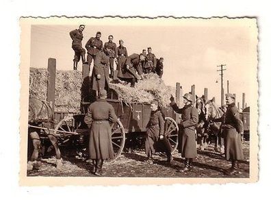 59763 Original Foto Deutsche Soldaten verladen Heu in Russland im 2. Weltkrieg