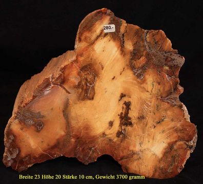 Holzopal einer noch ungekanten Baumart geschnitten und poliert aus Tschechien